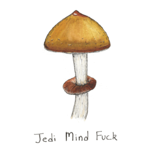 Jedi Mind Fuck Final 600x600 1
