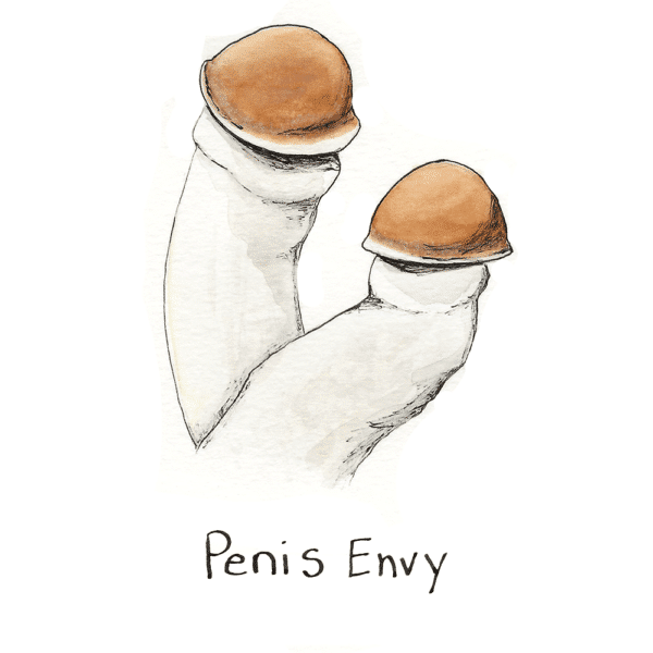 Penis Envy Final 600x600 1