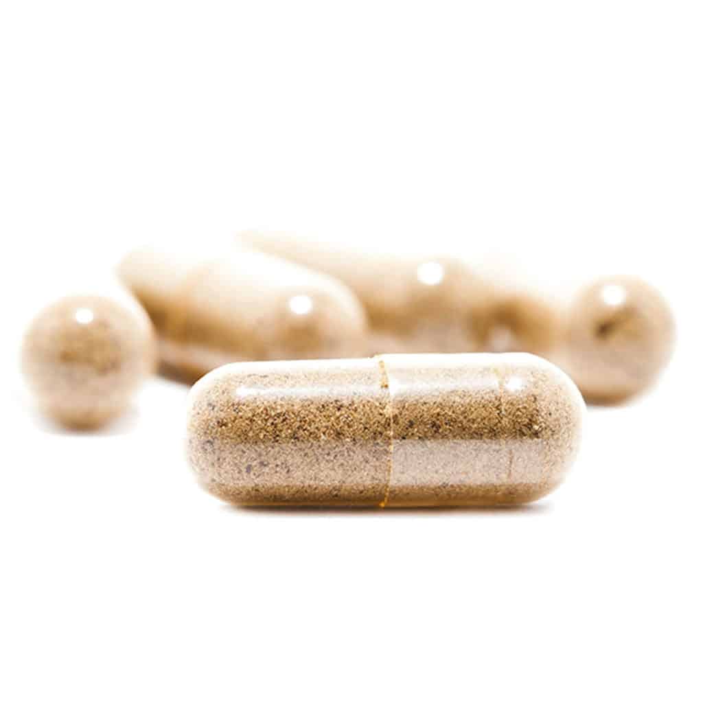 Premium magic mushroom capsules