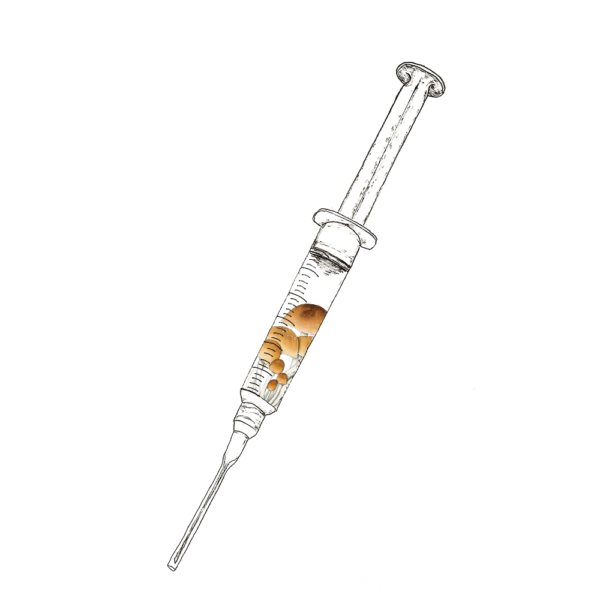 Purple Mystic Spore Syringe 1 600x600 1
