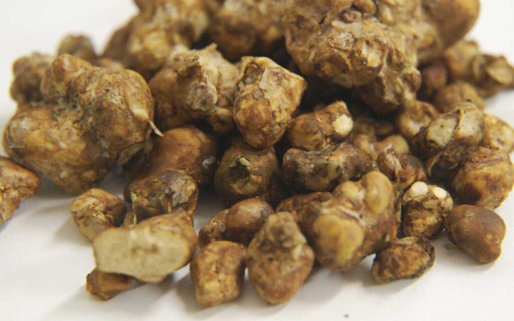 magic truffles blog