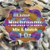 Magic Mushrooms Mix And Match – Ounce