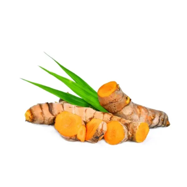 Turmeric Oil - Steam Distilled